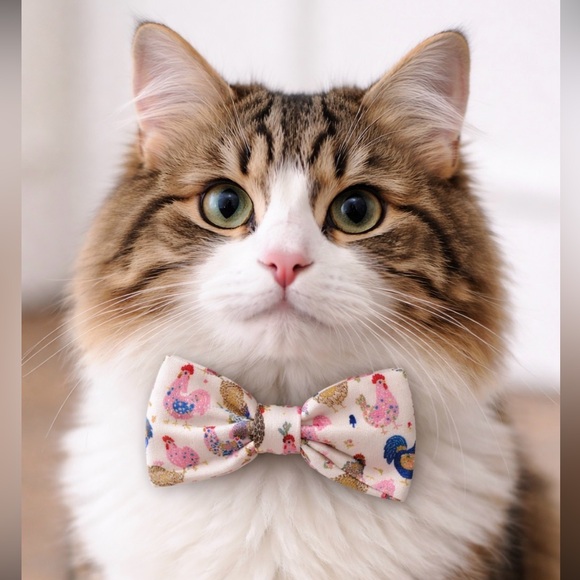 Griffy & Drake Other - 🎉LAST CHANCE 🎉🐓 Fancy Flock Pattern Pet Bow Tie